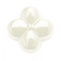 Краситель сухой жирорастворимый на основе какао-масла White, Power Flowers, Бельгия, 1 г Краситель сухой жирорастворимый на основе какао-масла White, Power Flowers, Бельгия, 1 г | Фото — Магазин Andy Chef