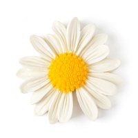 Молд «Ромашка» 5,5х6 см