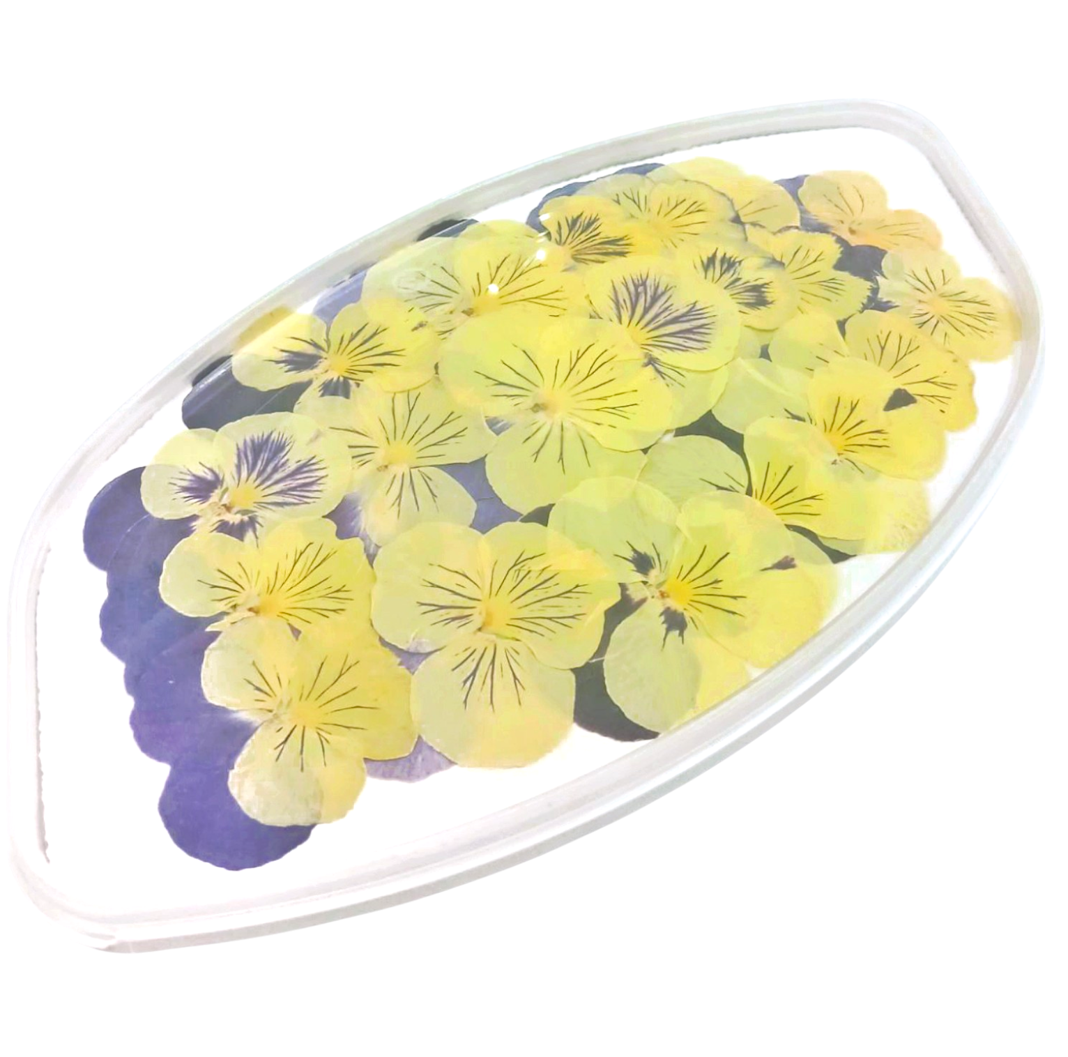 Виола обезвоженная «Глаза кошки», 20 шт.  | Фото — Магазин Andy Chef  1