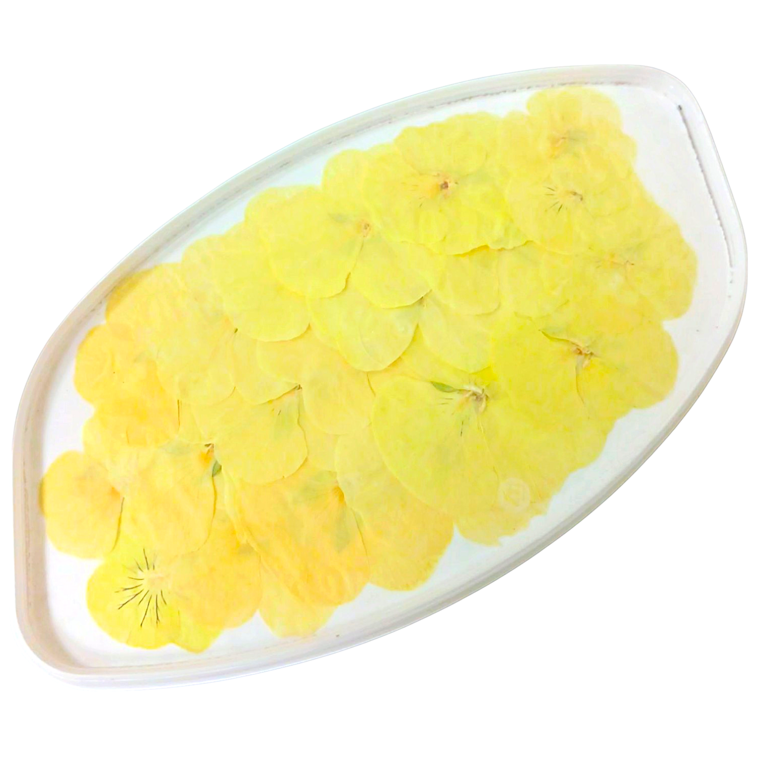 Виола обезвоженная «Солнечный рай», 20 шт.  | Фото — Магазин Andy Chef  1