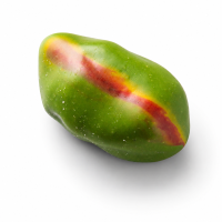 Форма с вырубкой «Фисташка» (Pistacchio), 30 мл, Silikomart, Италия