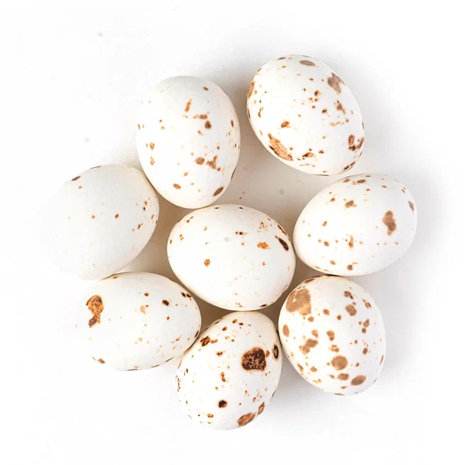 Яйца шоколадные «Белый пеликан», 65-70 г  | Фото — Магазин Andy Chef  1