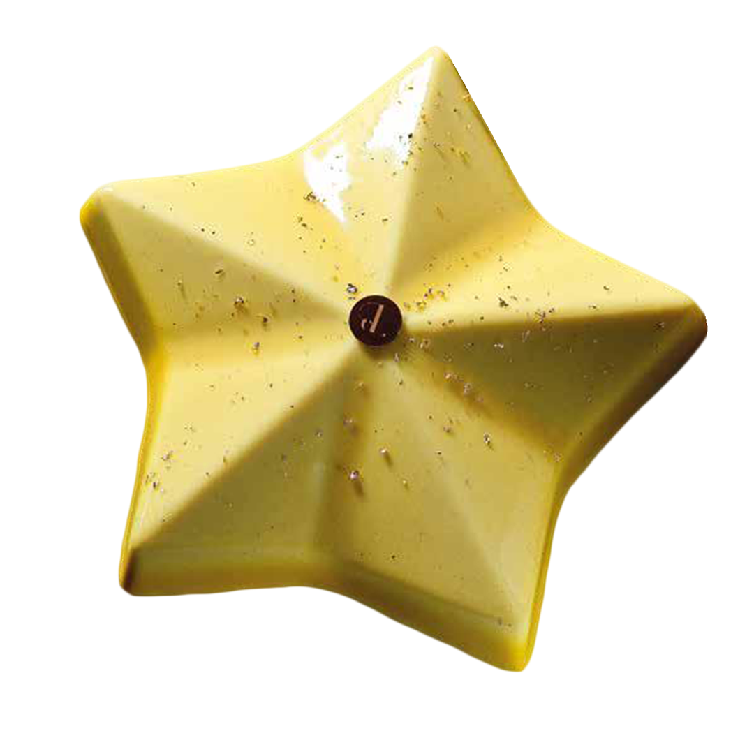 Форма «Звезда мини» пластиковая 8,7х6 см, 6 ячеек, PCB Creation, Франция (повреждена)  | Фото — Магазин Andy Chef  1