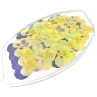 Виола обезвоженная «Глаза кошки», 20 шт.