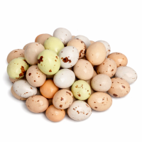 Яйца шоколадные «Весенний сад», 65-70 г, 18-22 шт.