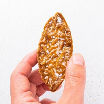 Флорентини